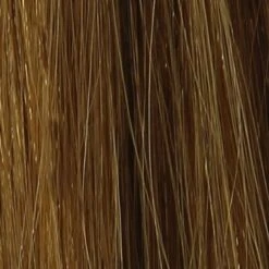 Mèches Naturelles Chatain Et Mèches Miel X10