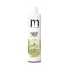 Shampooing Traitant Purifiant Cheveux Gras / 500ml