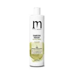 Shampooing Traitant Purifiant Cheveux Gras / 500ml